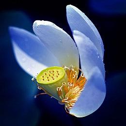 《潜行者：封锁区传奇三部曲》11月登陆任天堂Switch